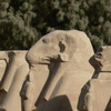 Луксор. Храм Амона-Ра. Аллея сфинксов