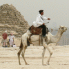 Полицейский на верблюде охраняет пирамиды. Каир