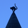 Черная кошка - символ Риги